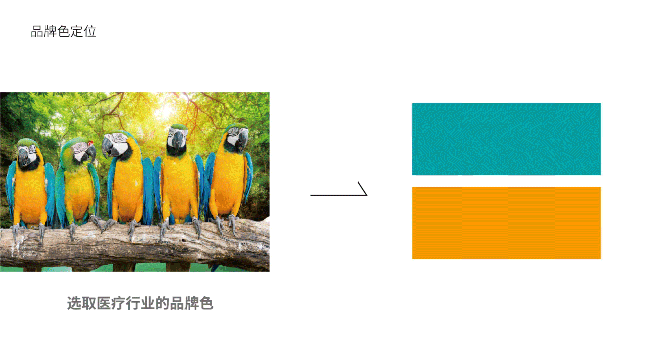 醫(yī)療咨詢品牌形象設(shè)計(jì)-璞求醫(yī)療LOGO升級
